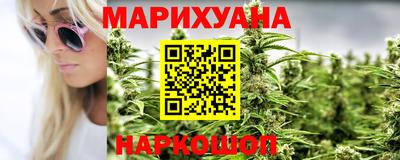 шишки Будённовск