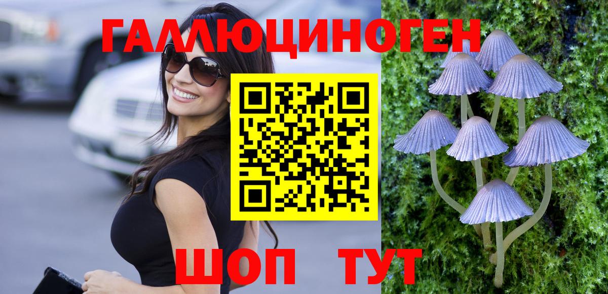 Галлюциногенные грибы Cubensis Нововоронеж