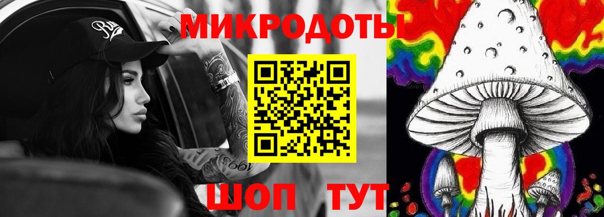 купить наркоту  Псилоцибиновые грибы ЛСД  Вход с VPN  Нововоронеж 